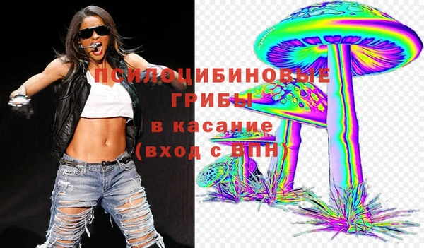 эйфоретик Гусь-Хрустальный